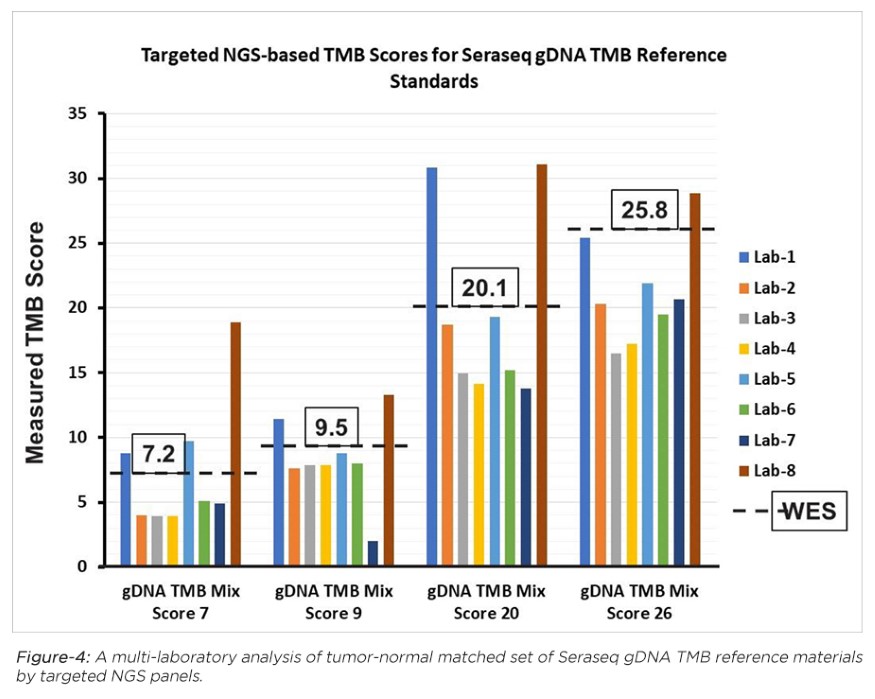 NGS-based-TMB-Scores