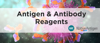 Anitgen-Antibody-Reagents