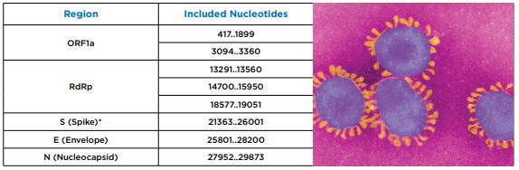 SARS-CoV-2 Table